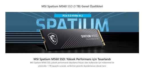 MSI 1TB SPATIUM M560 10200-8400MB/s M.2 NVME GEN5 SSD DİSK